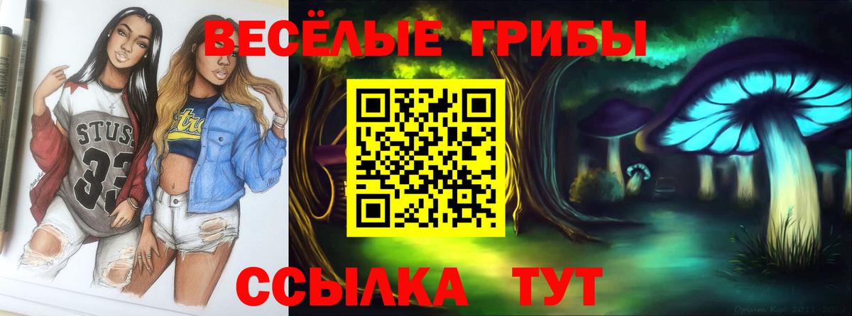 Псилоцибиновые грибы MAGIC MUSHROOMS  Вход с VPN  Волжский 