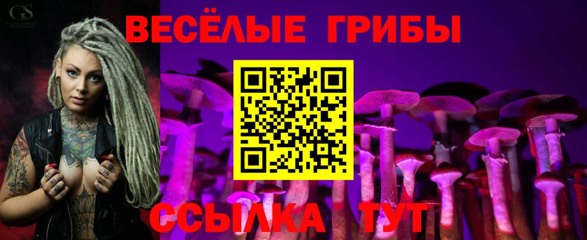 Псилоцибиновые грибы Cubensis Волжский